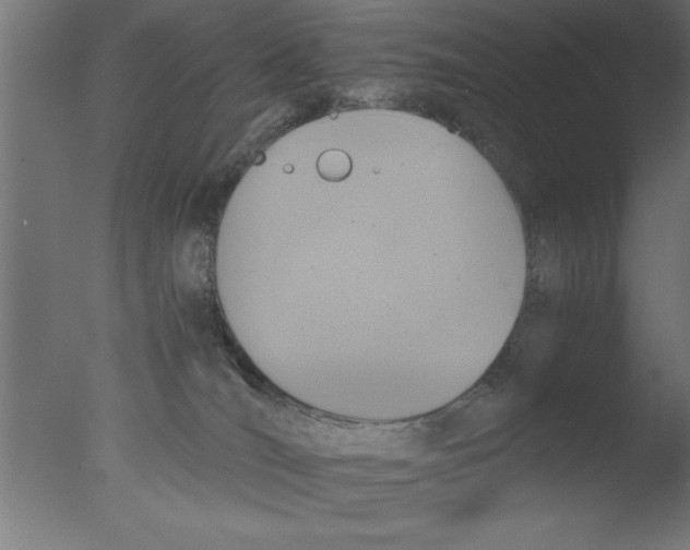 X0000076030036200610201839