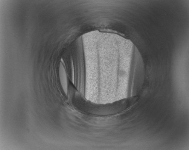 X0000076030037200610201839