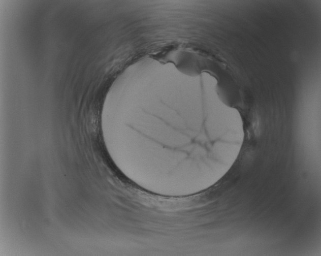 X0000076030039200610201839