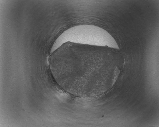 X0000076030041200610201839