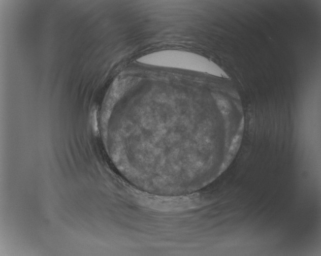 X0000076030042200610201839