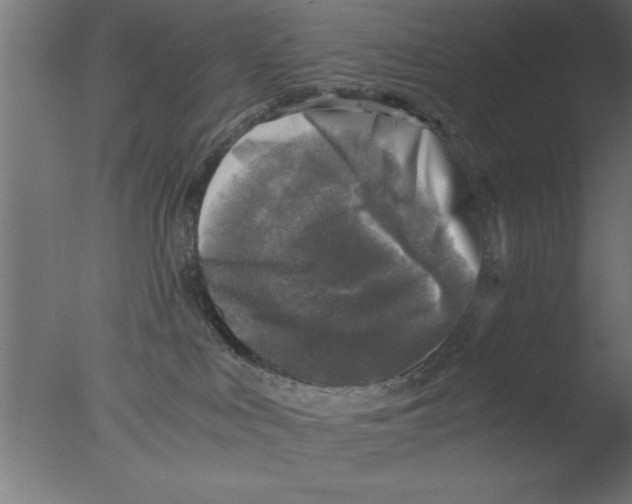 X0000076030043200610201839