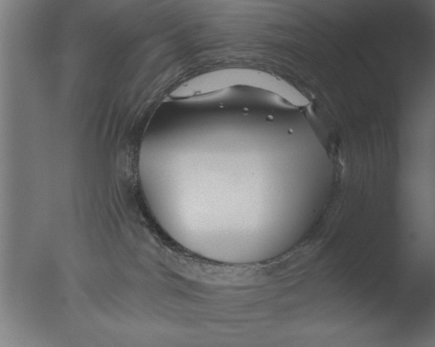 X0000076030044200610201838