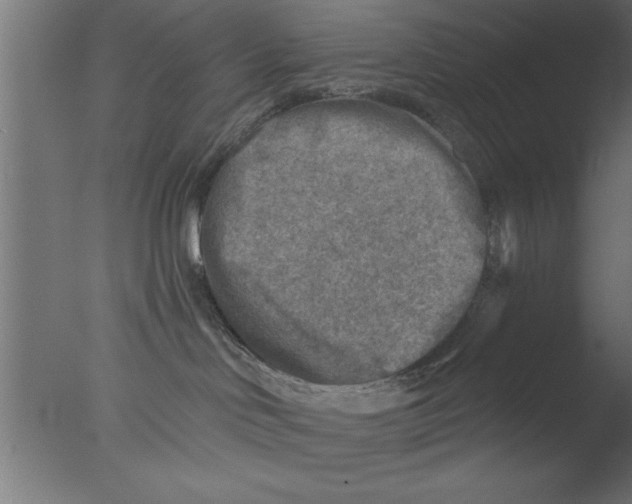 X0000076030046200610201838