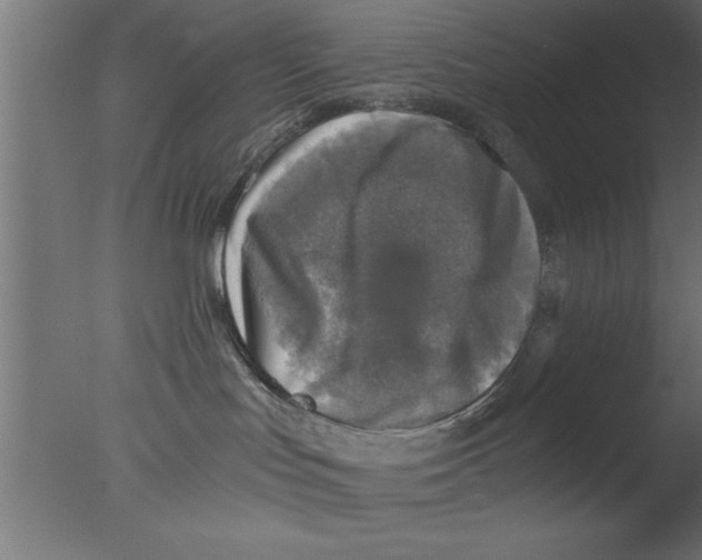 X0000076030047200610201838