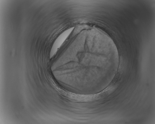 X0000076030048200610201838