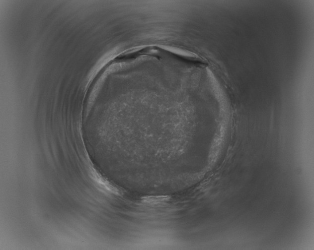 X0000076030051200610201838