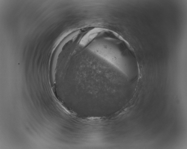 X0000076030052200610201838