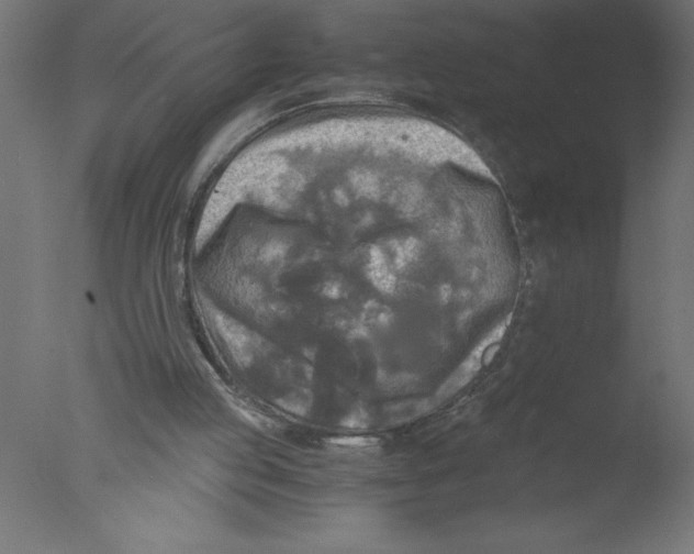 X0000076030053200610201838