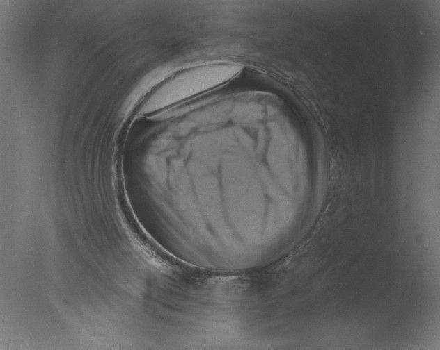 X0000076030054200610201838