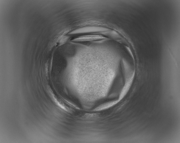 X0000076030057200610201838