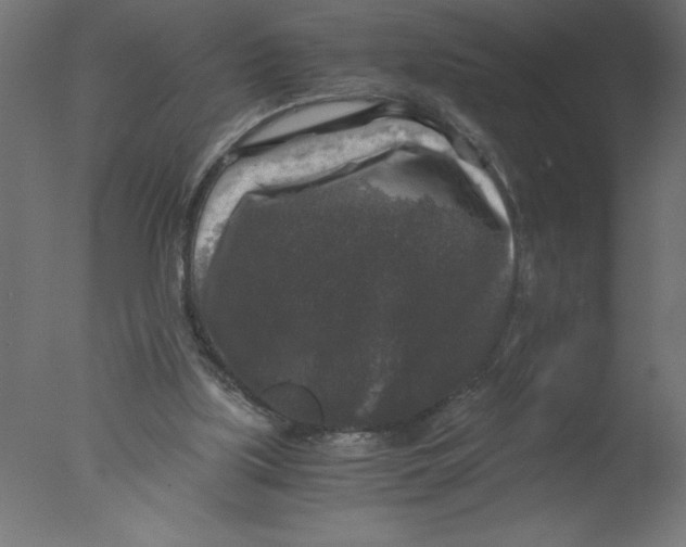 X0000076030059200610201838