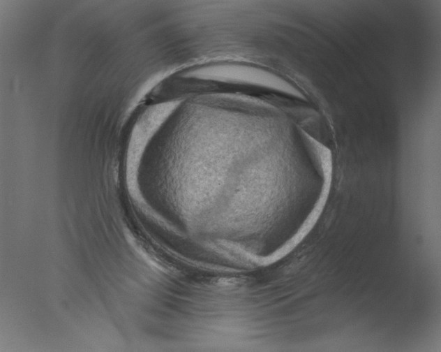 X0000076030060200610201838