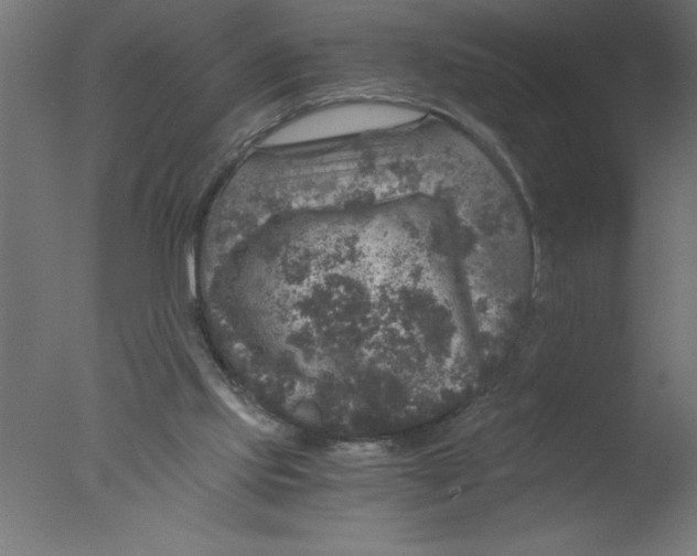 X0000076030061200610201838