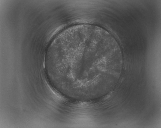 X0000076030062200610201838