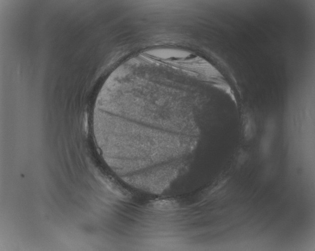 X0000076030067200610201838