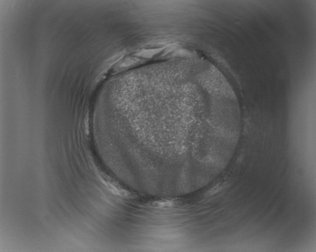 X0000076030068200610201838