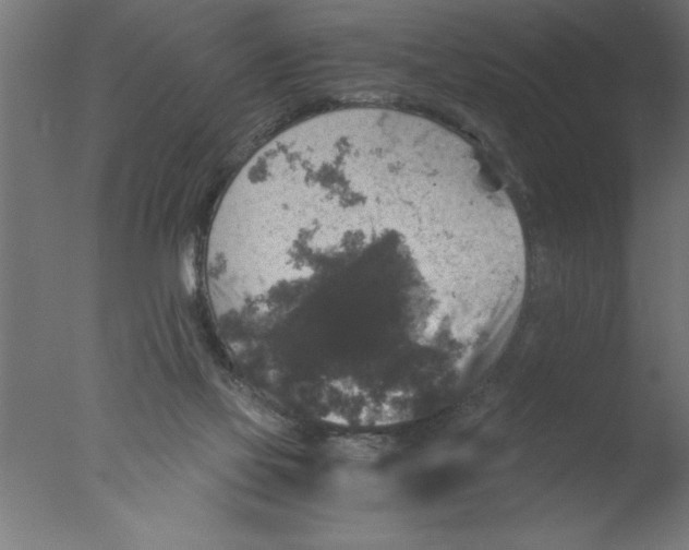 X0000076030069200610201838