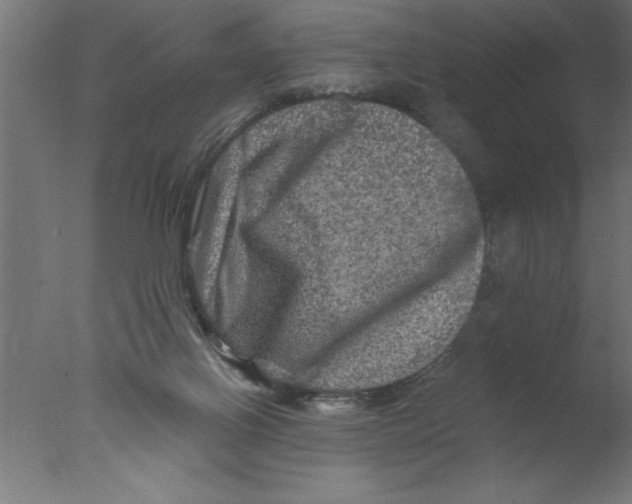 X0000076030070200610201838