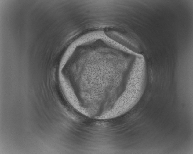 X0000076030071200610201838