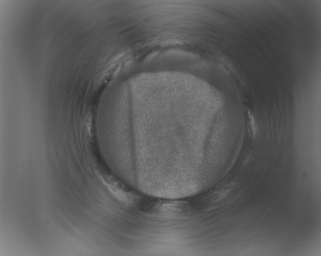 X0000076030072200610201838