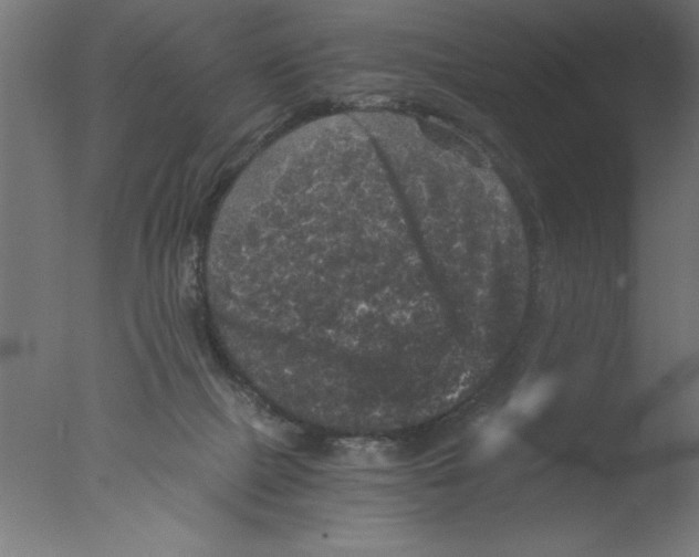 X0000076030073200610201838