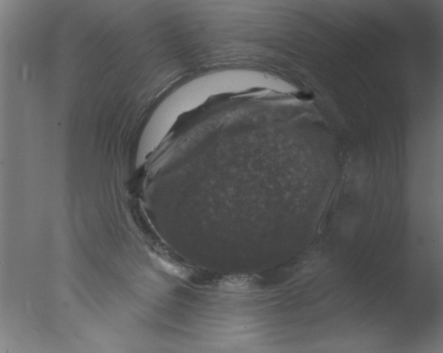 X0000076030076200610201838