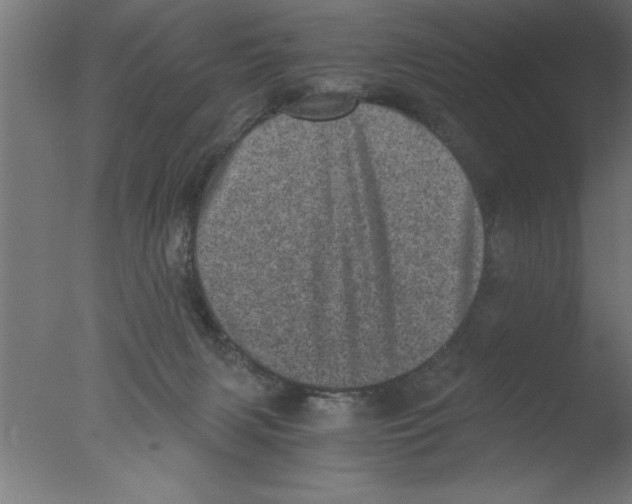 X0000076030079200610201838