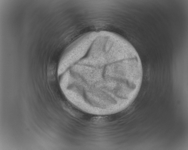 X0000076030082200610201838