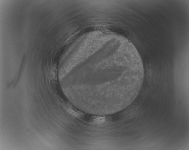 X0000076030083200610201838