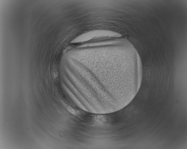 X0000076030091200610201838