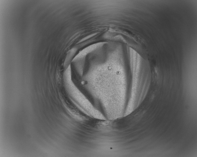 X0000076030092200610201838