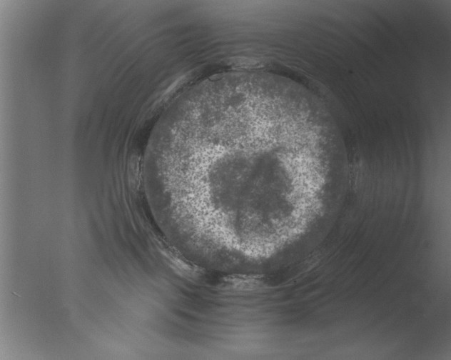 X0000076030093200610201838