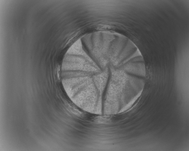 X0000076030094200610201838