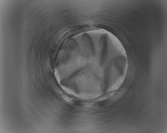 X0000076030096200610201838