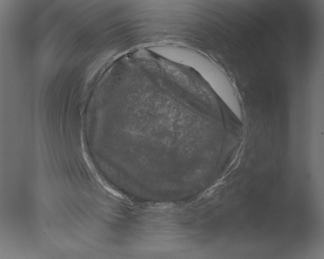 X0000076030097200610201838