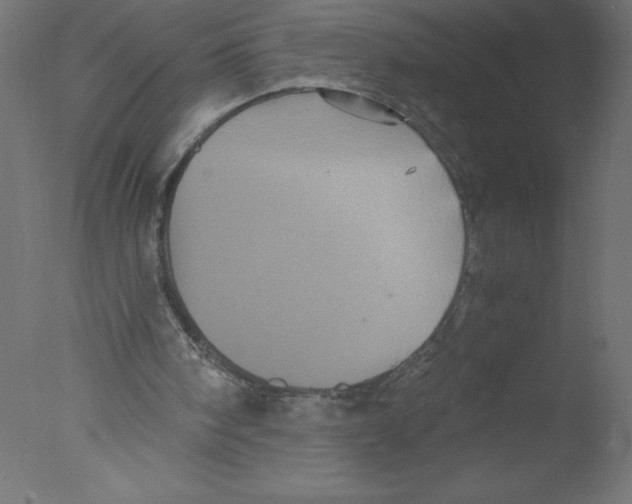 X0000076030098200610201838