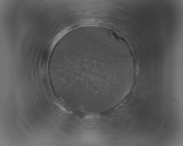 X0000076030099200610201838