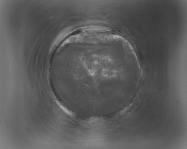 X0000076030101200610201838