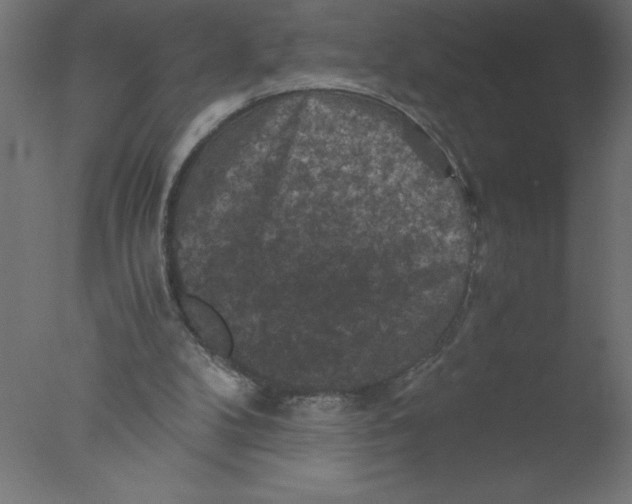 X0000076030104200610201837