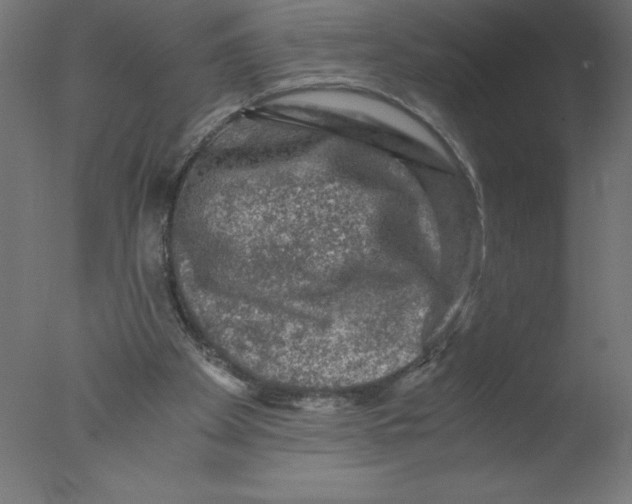 X0000076030105200610201837