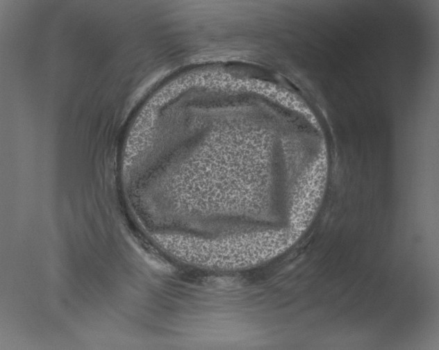 X0000076030107200610201837