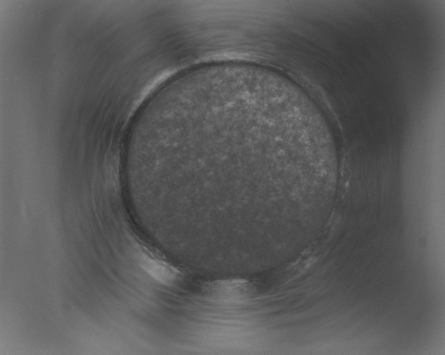 X0000076030108200610201837