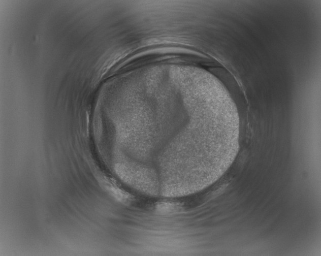 X0000076030109200610201837