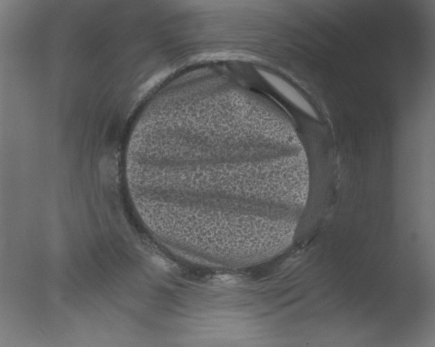 X0000076030111200610201837