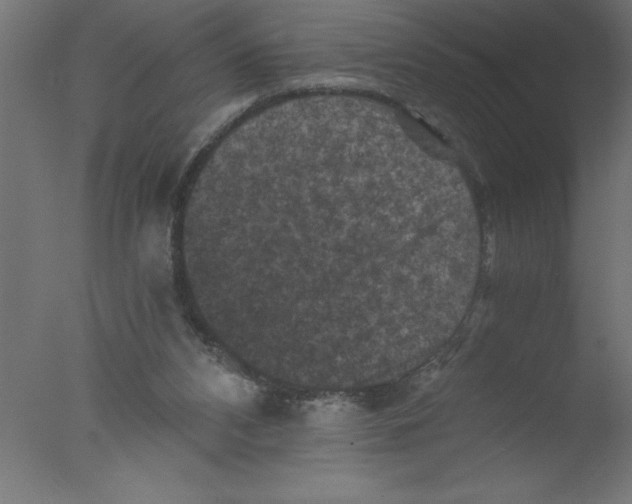 X0000076030112200610201837