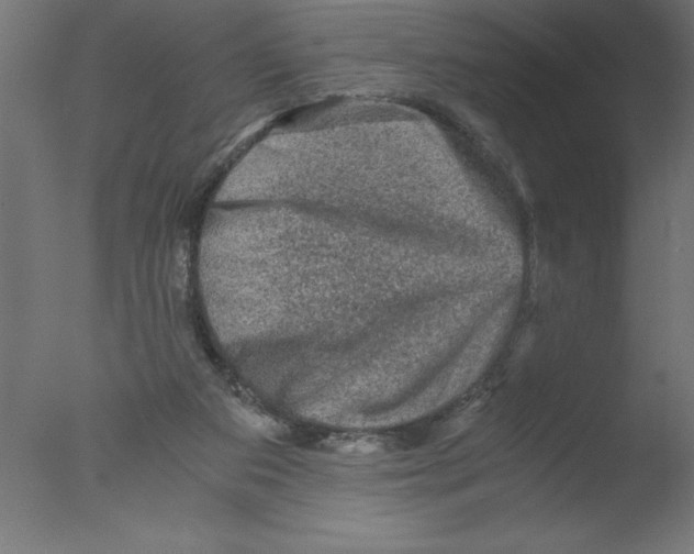 X0000076030113200610201837