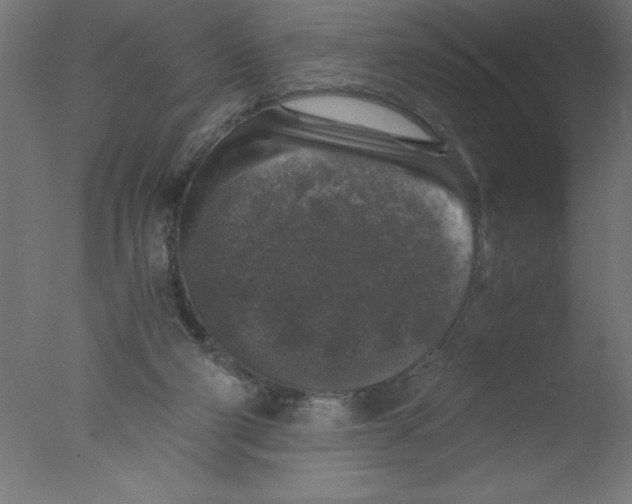 X0000076030114200610201837