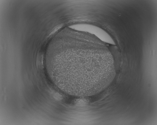 X0000076030115200610201837