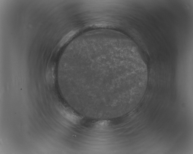 X0000076030116200610201837